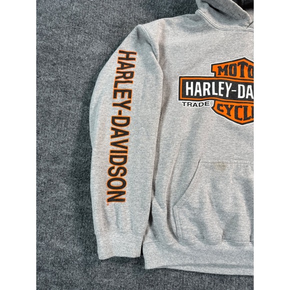 Harley Davidson Hoodie Mens Medium Gray Sleeve Hits Motor Cycles Pullover Logo - Picture 3 of 12